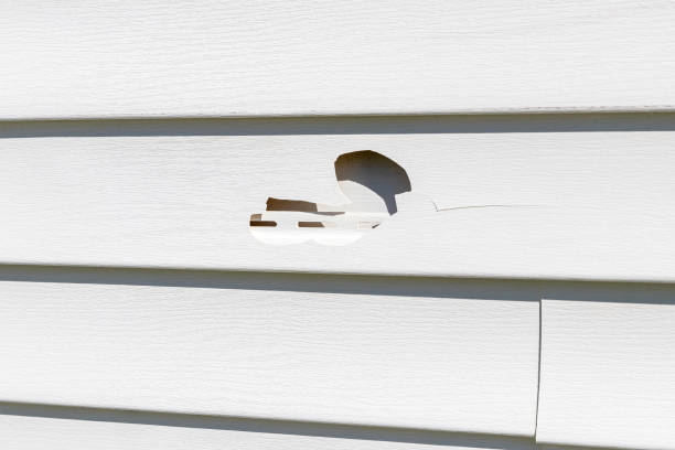 Custom Trim and Detailing for Siding